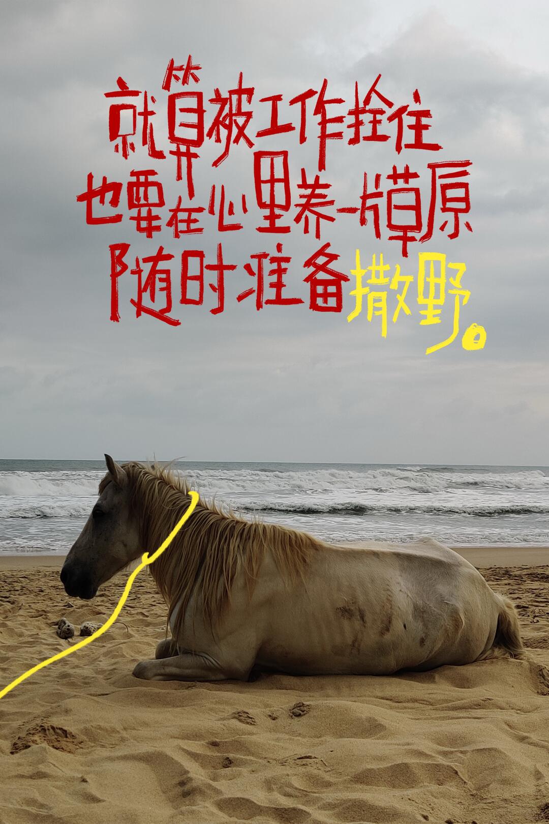 Message image
