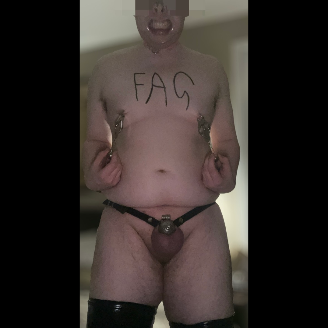 RubberPiggyH