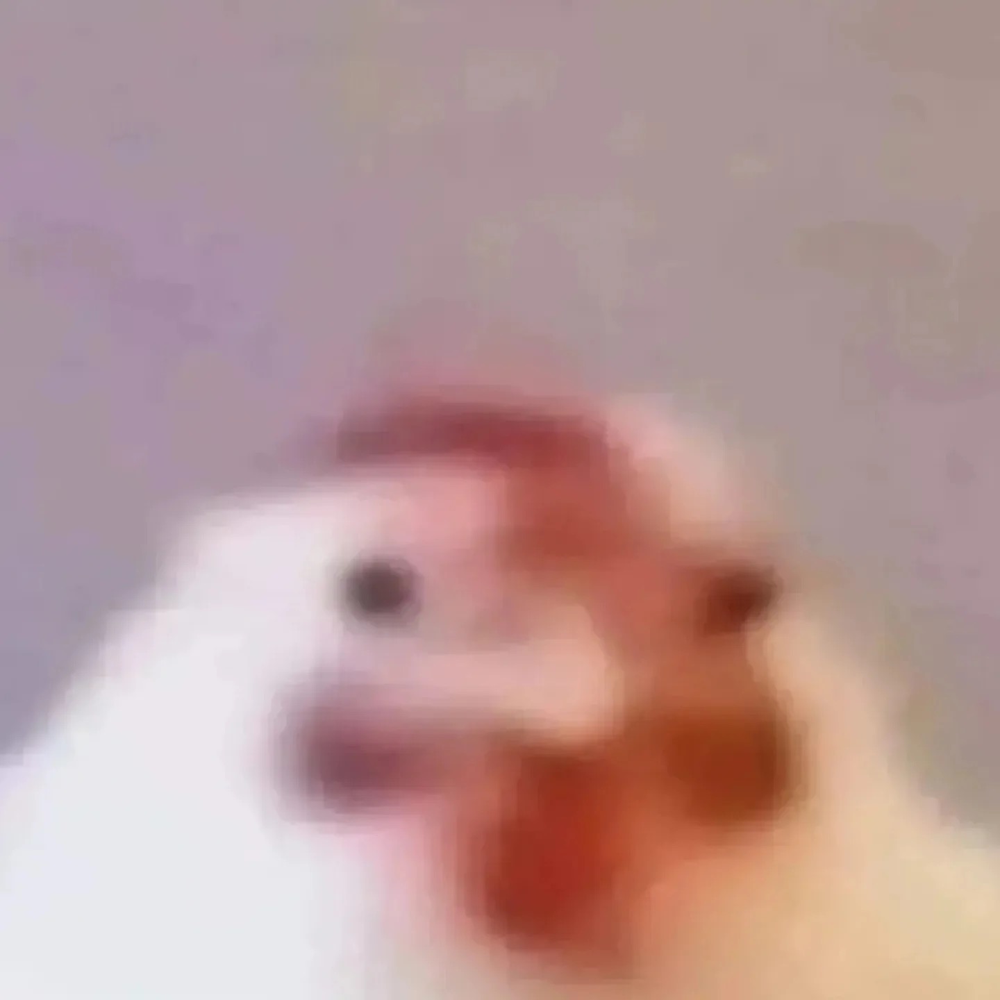 Message gallery image