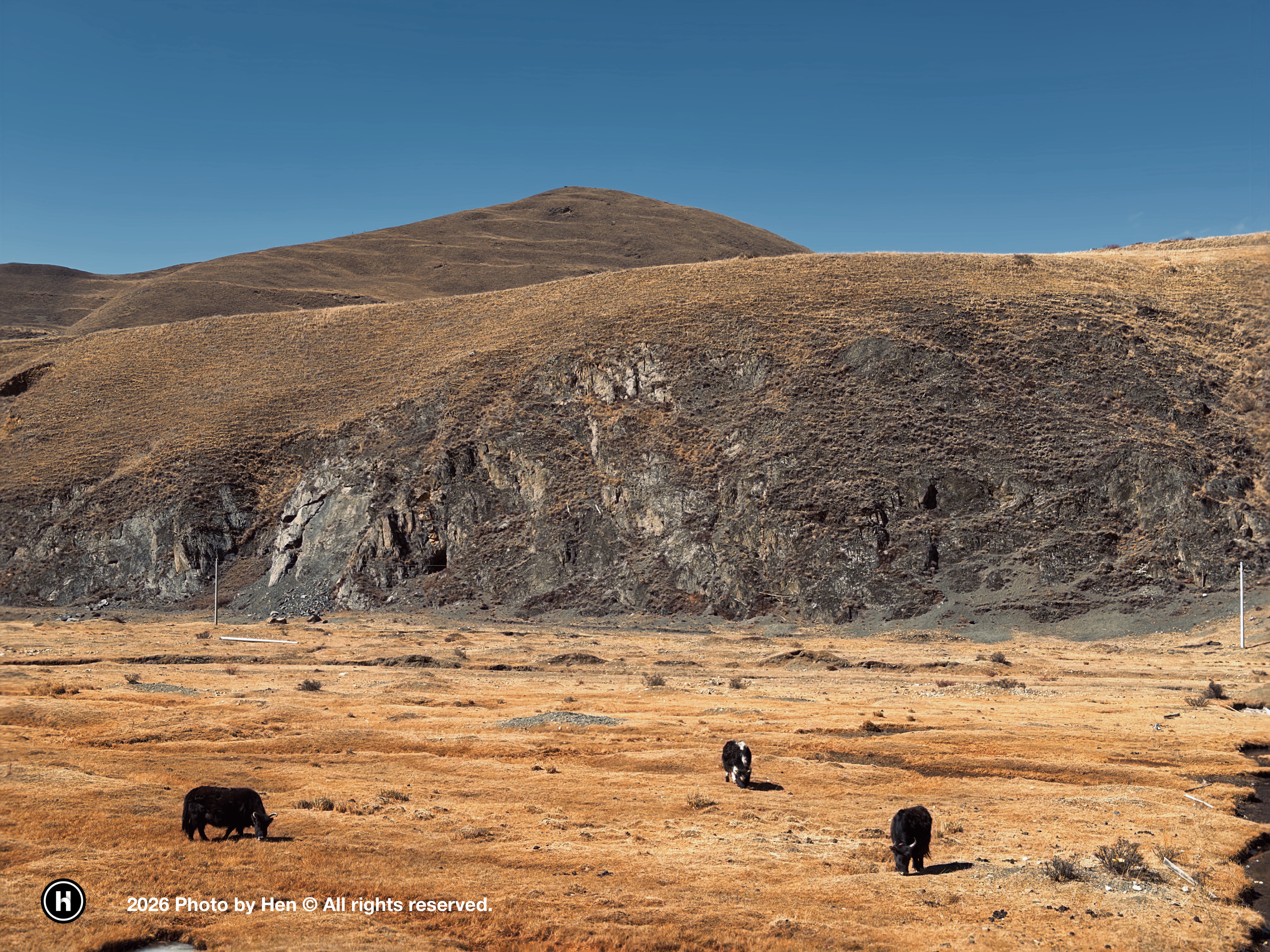 Message gallery image