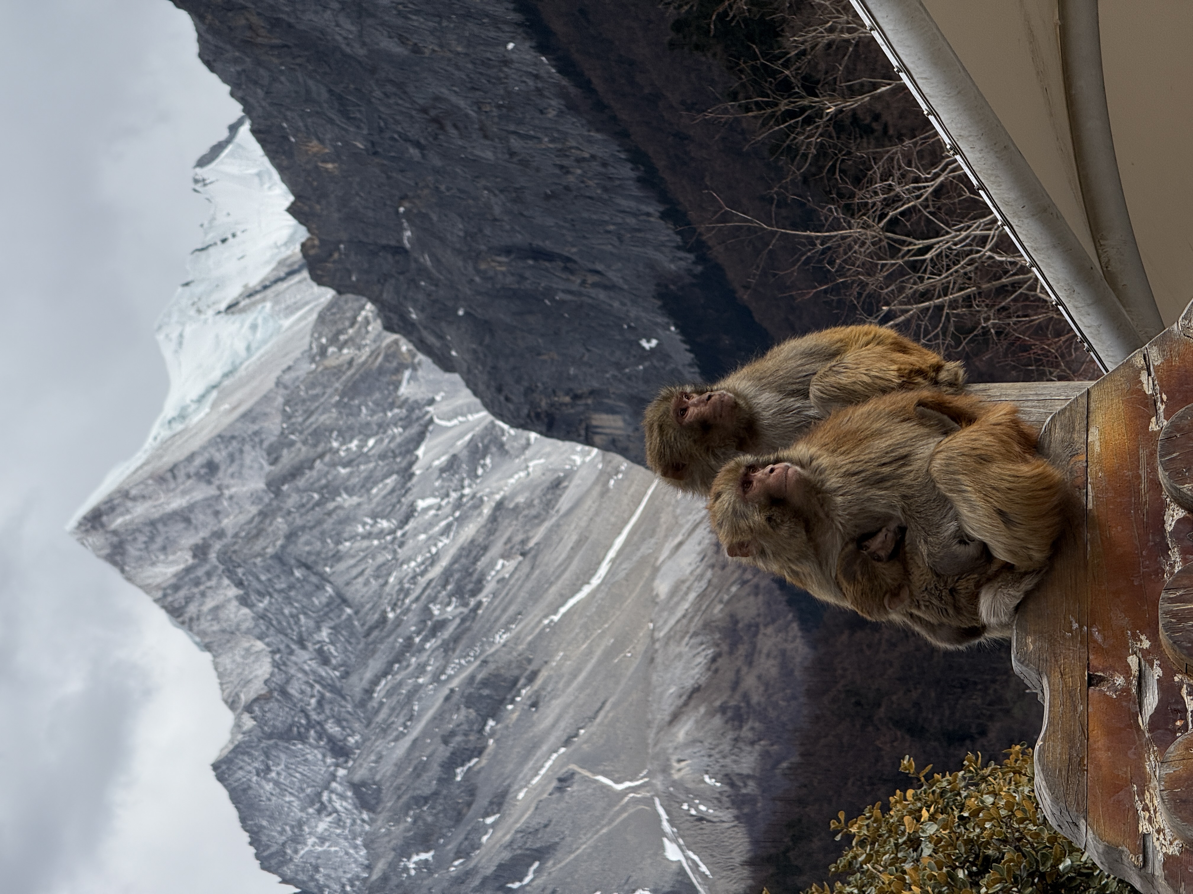 Message gallery image