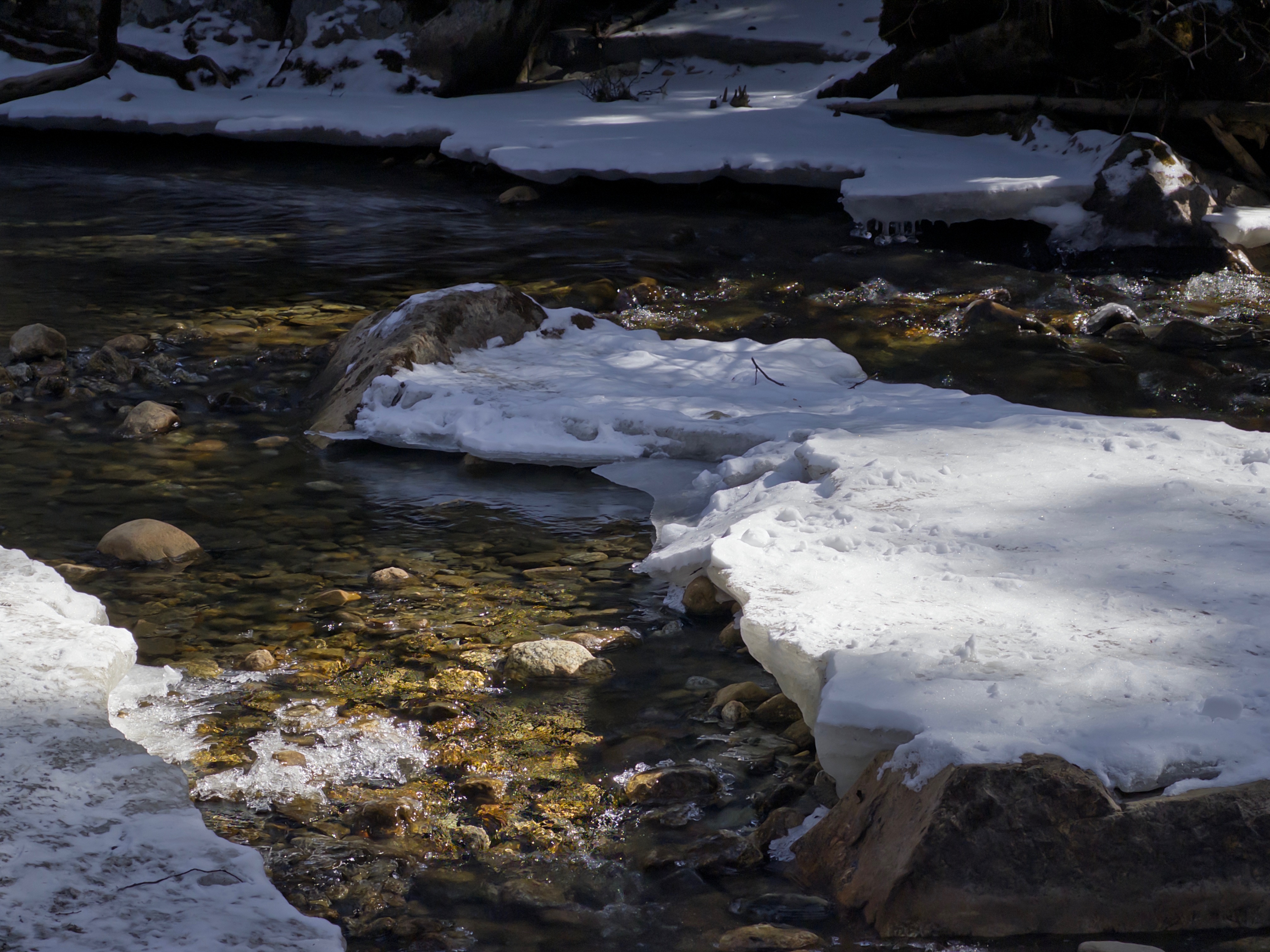 Message gallery image