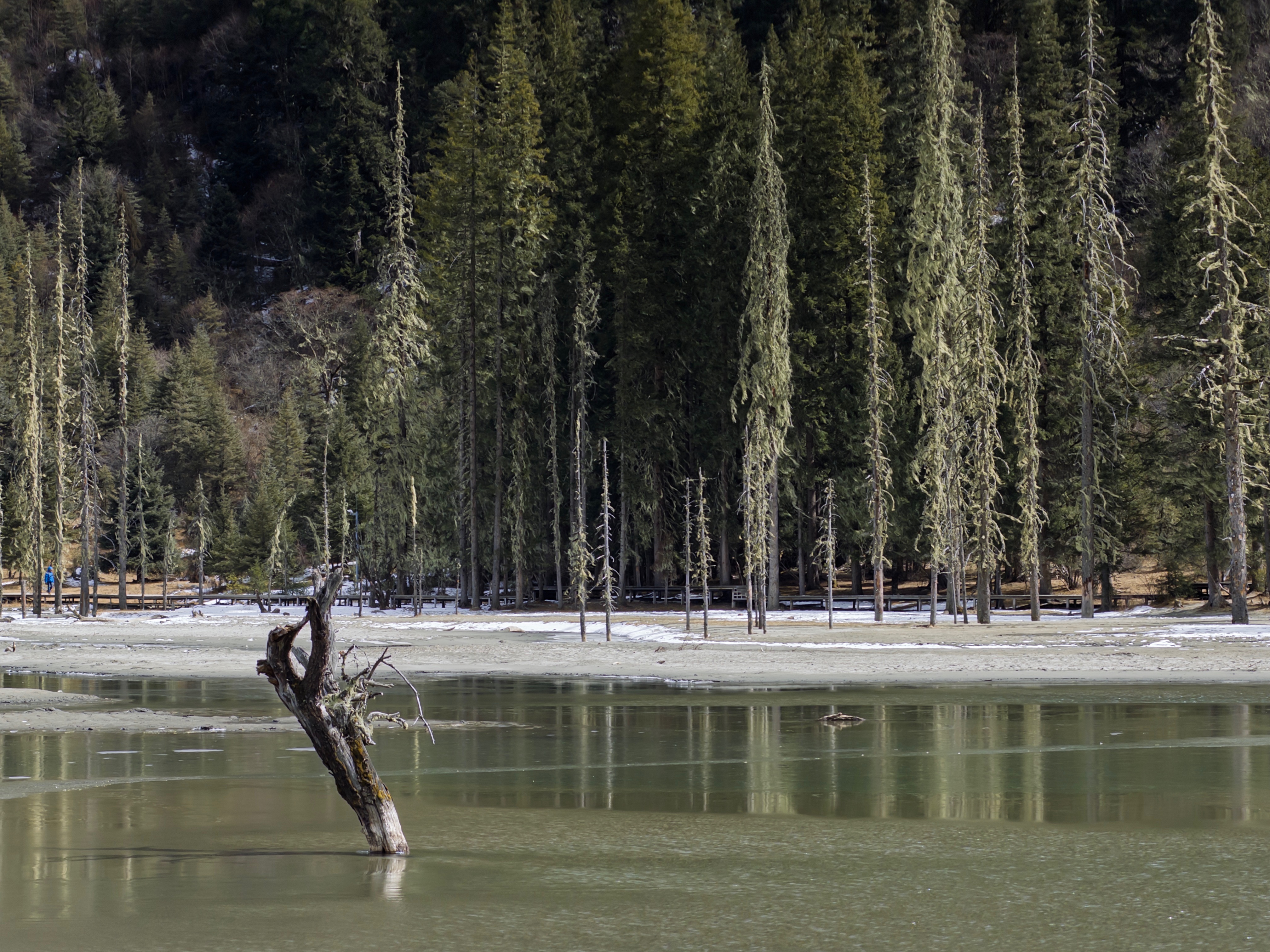 Message gallery image