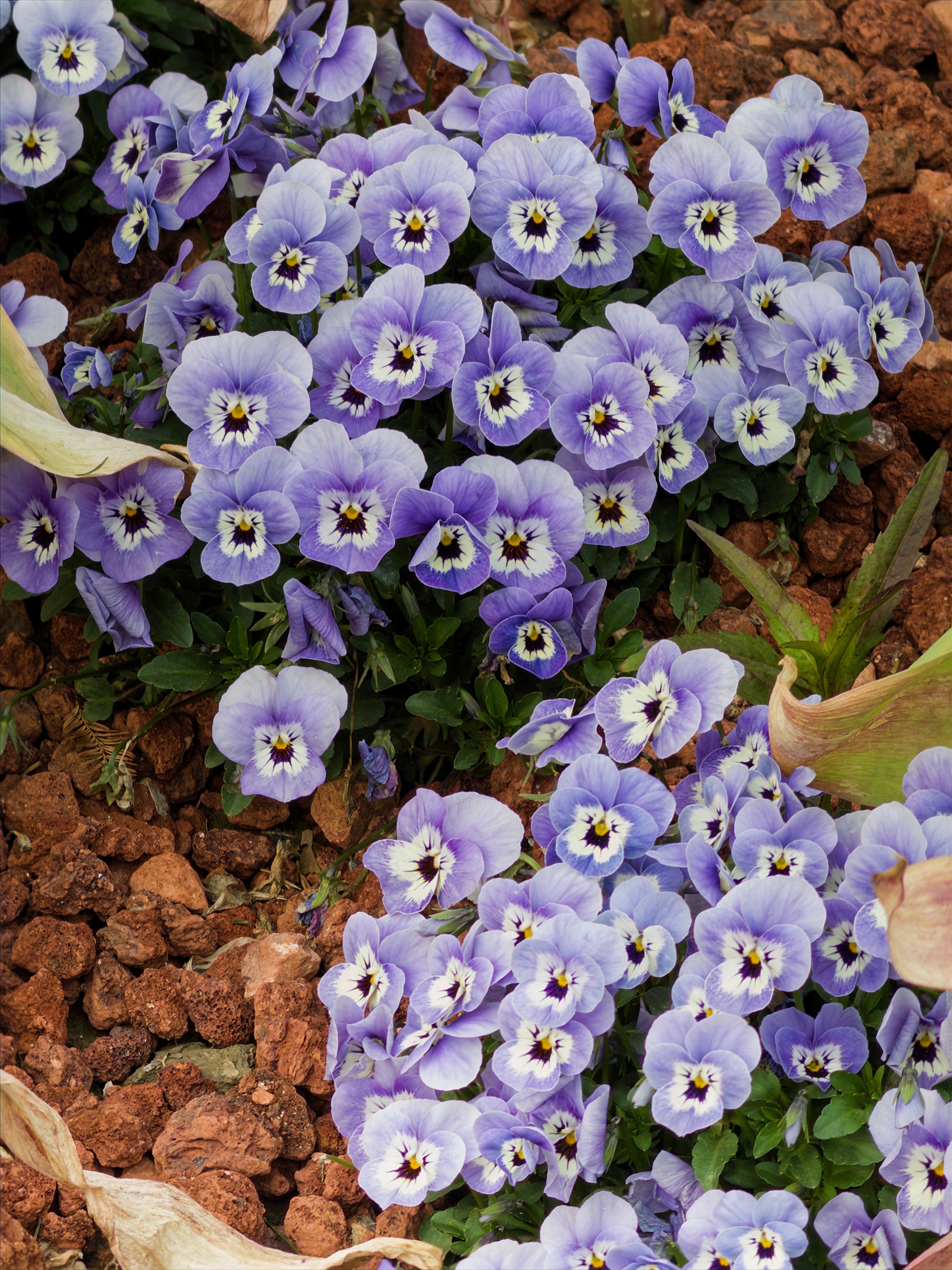 Message gallery image