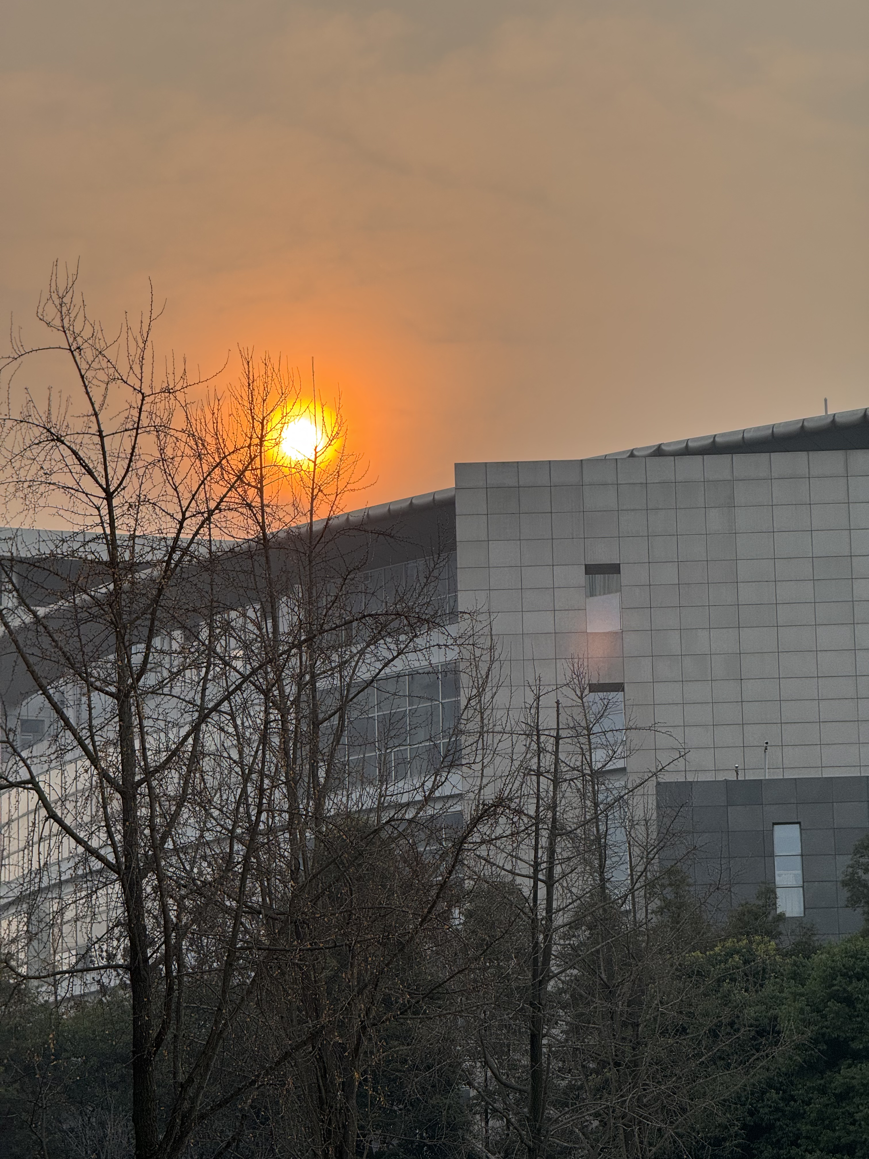 Message gallery image