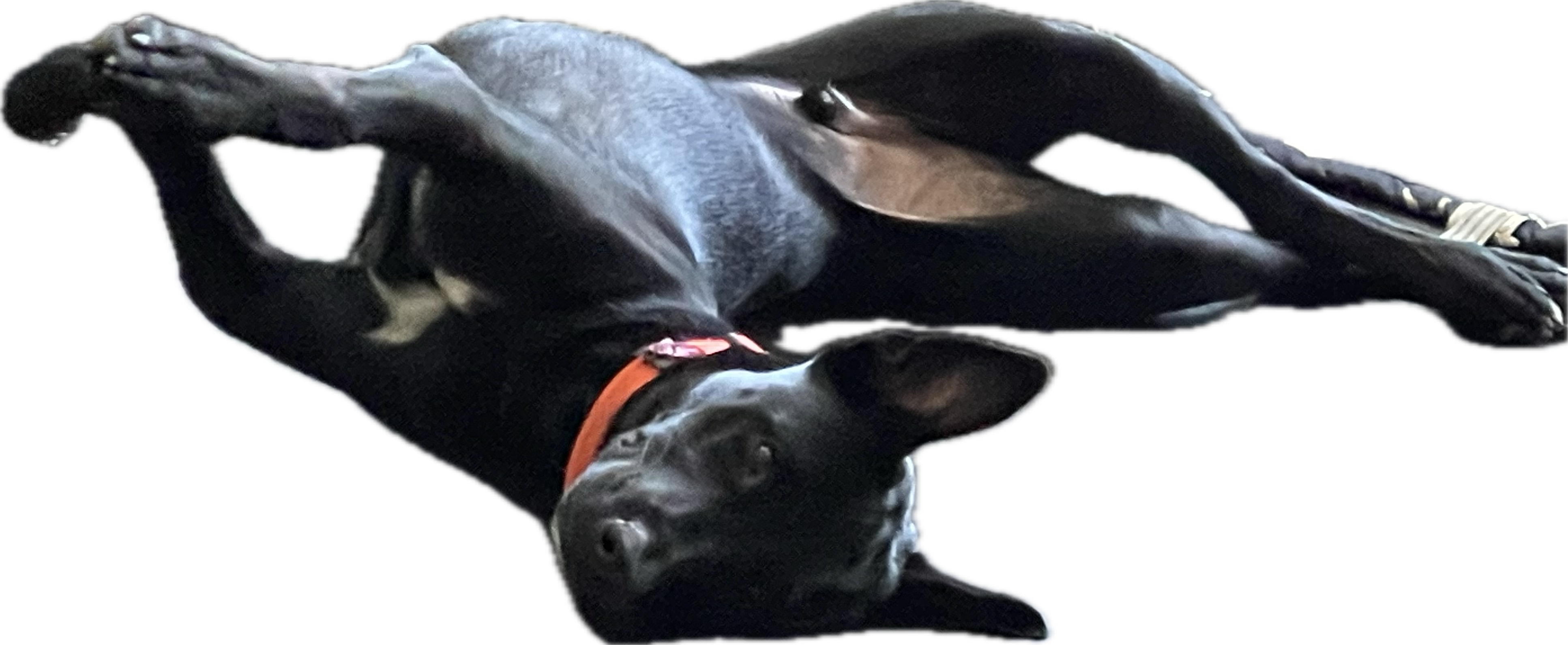 Message image