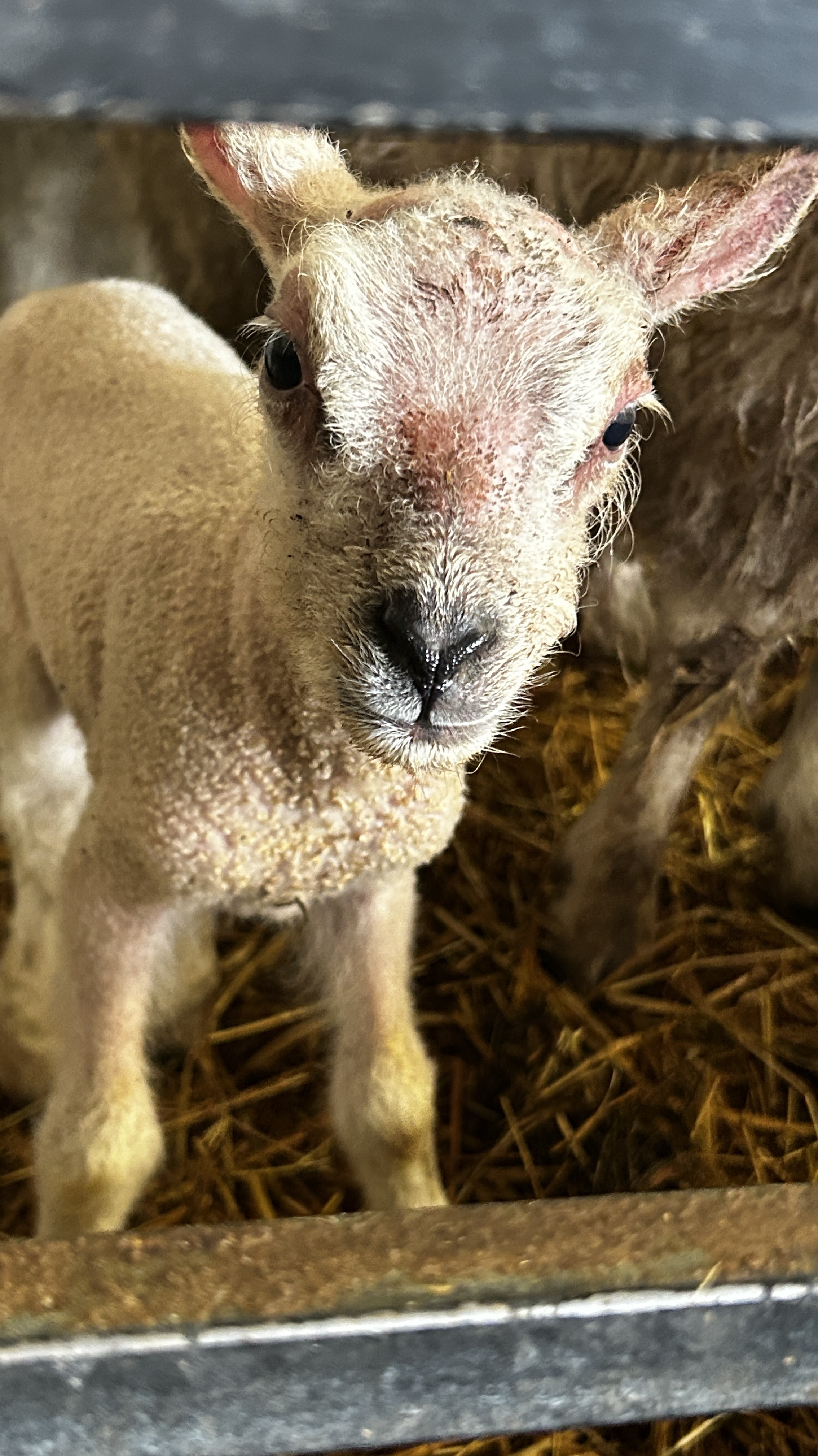 Message gallery image