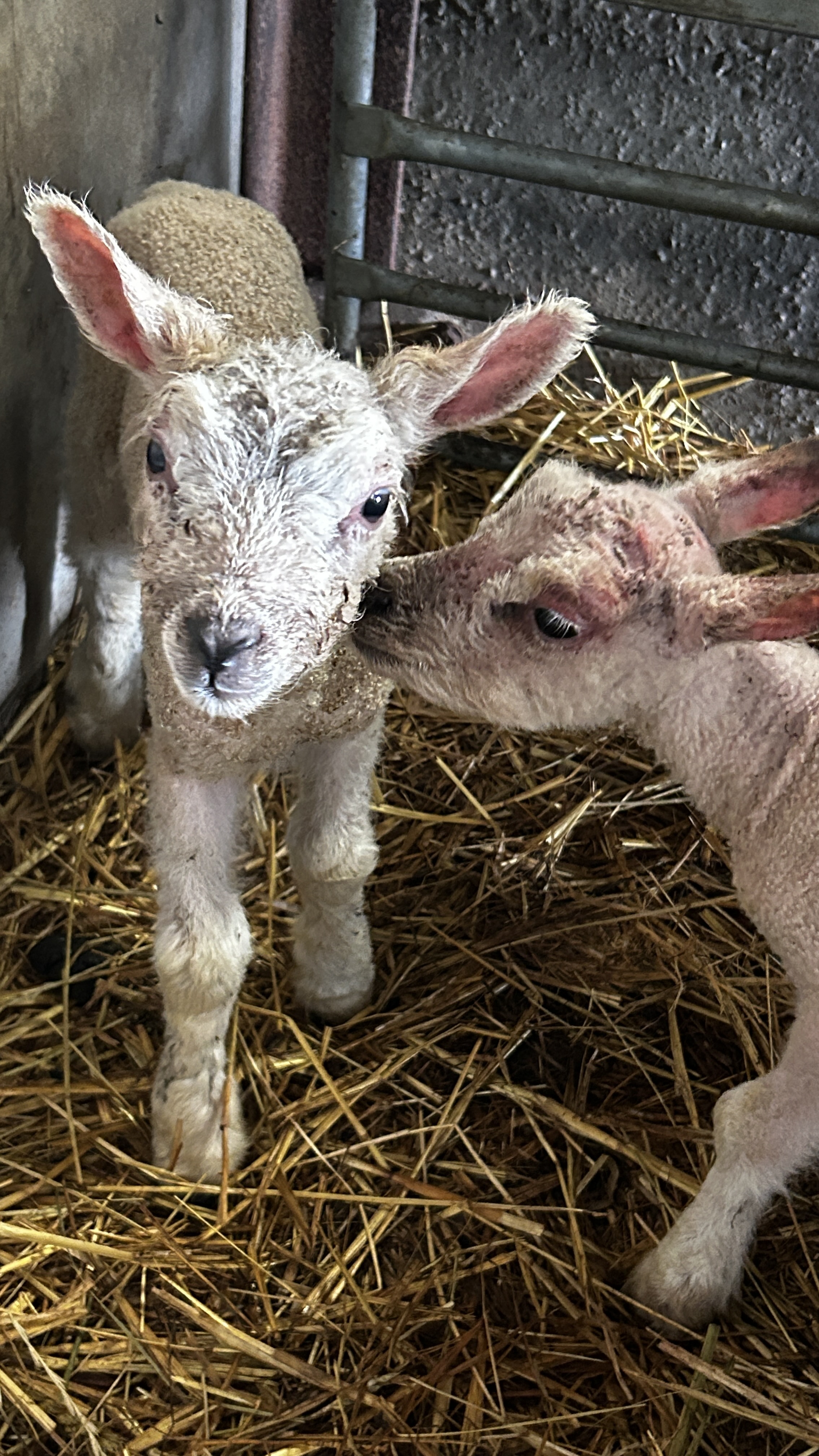 Message gallery image