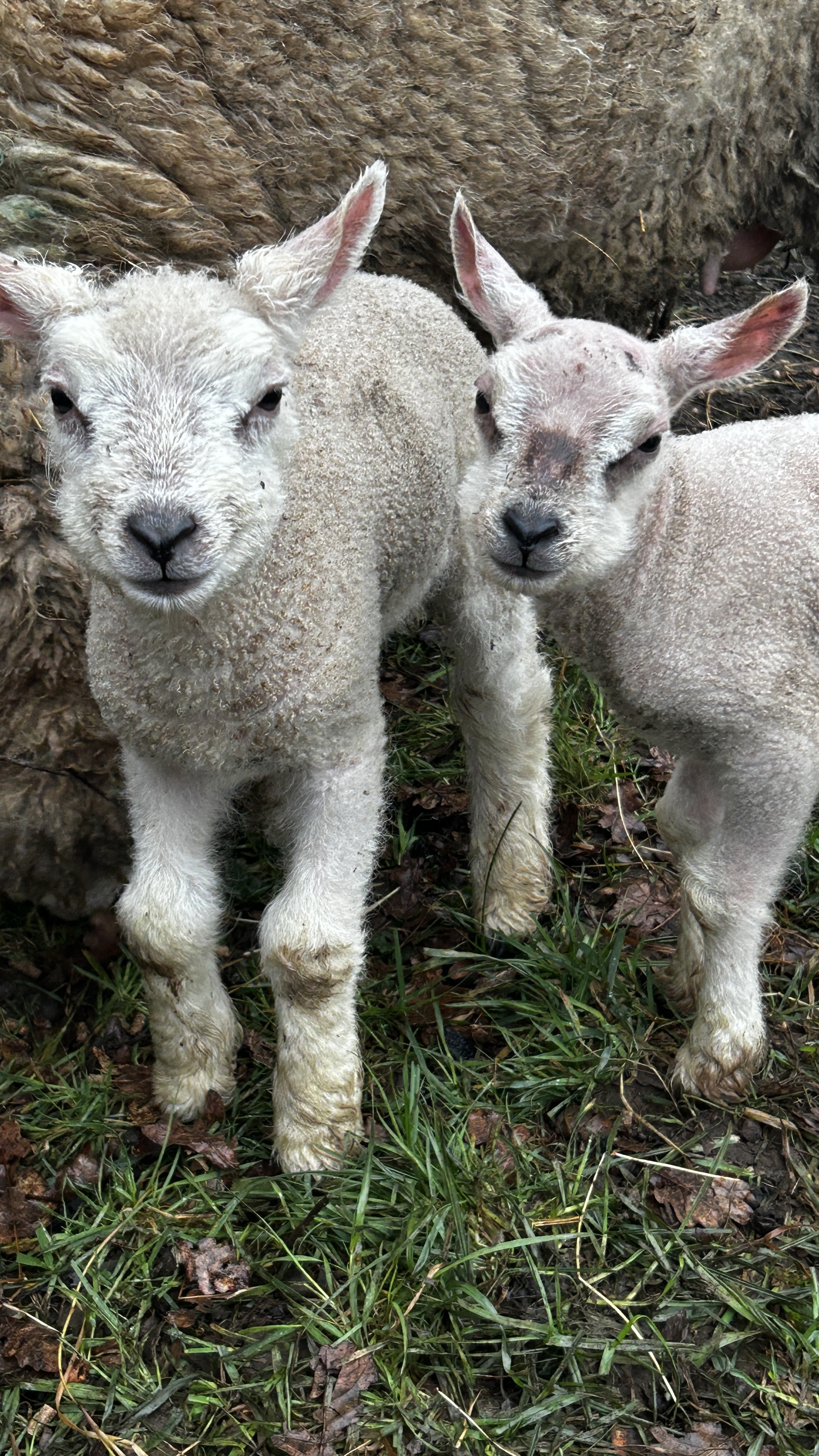 Message gallery image