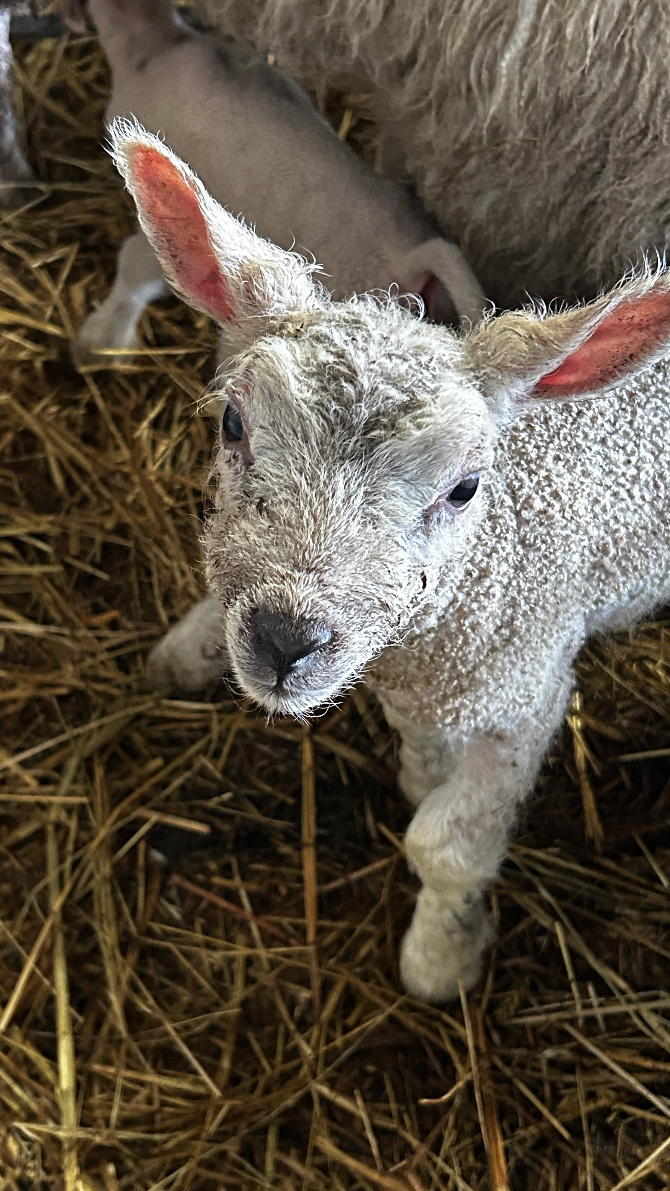 Message gallery image