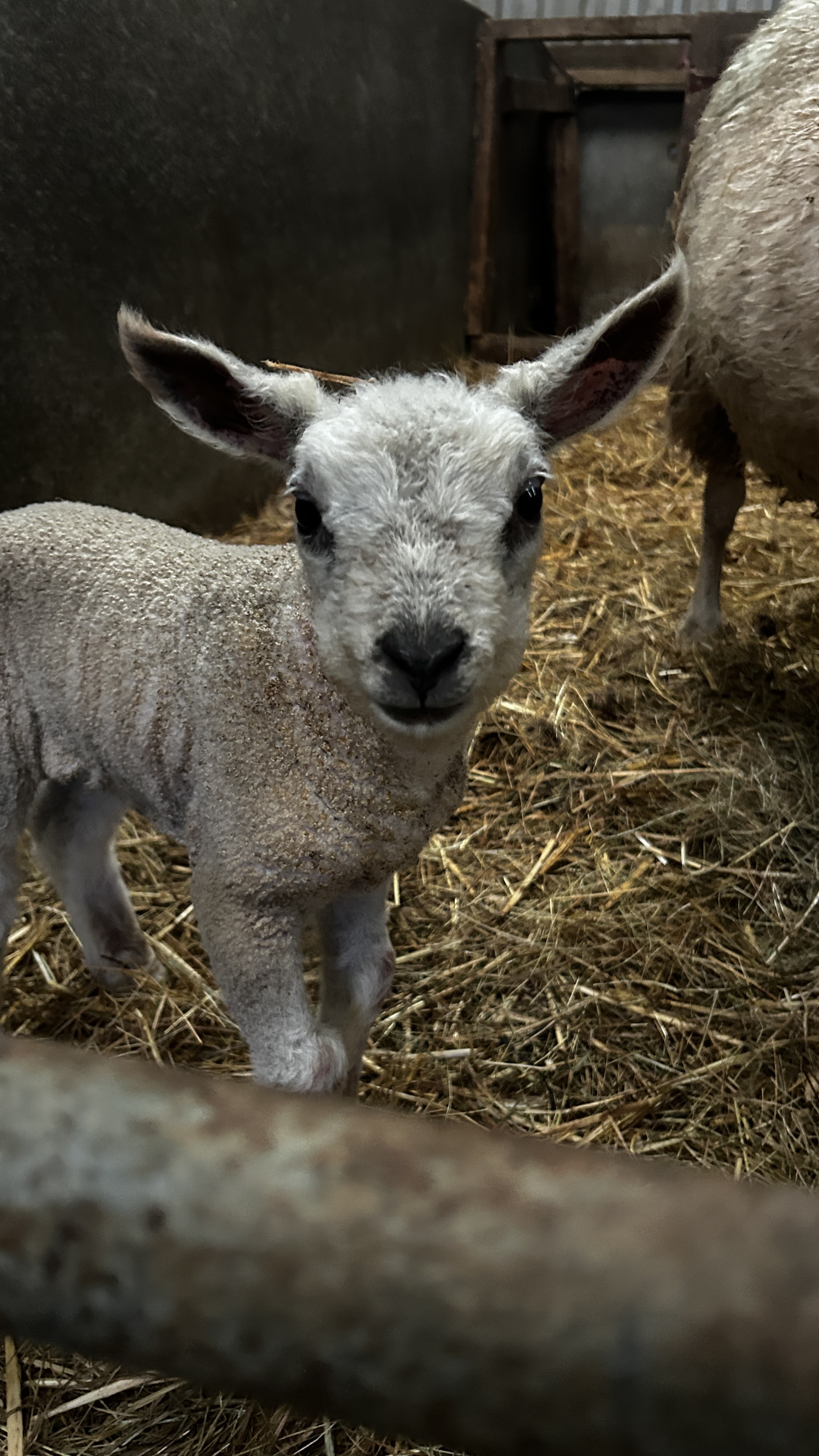 Message gallery image