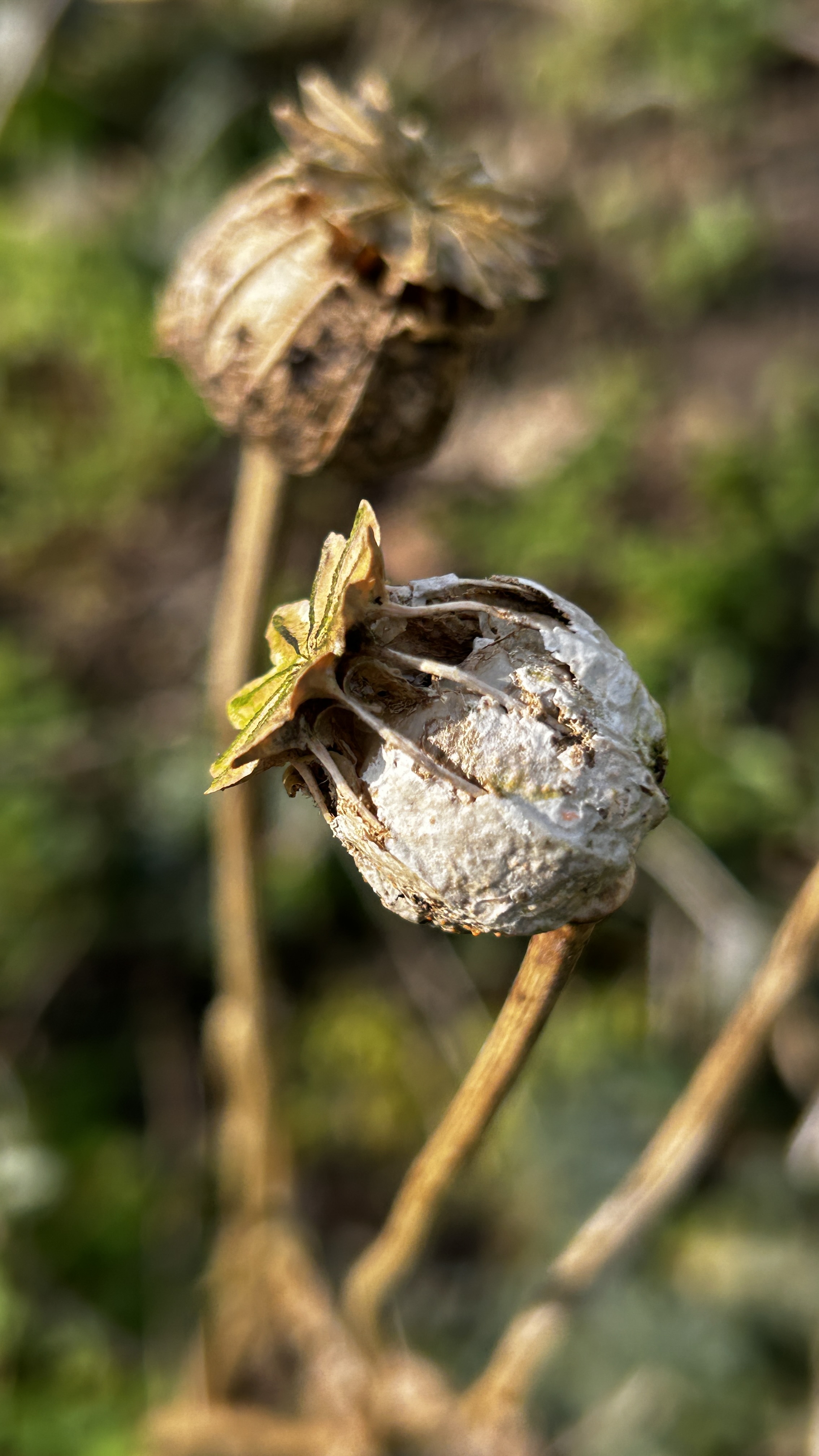 Message gallery image