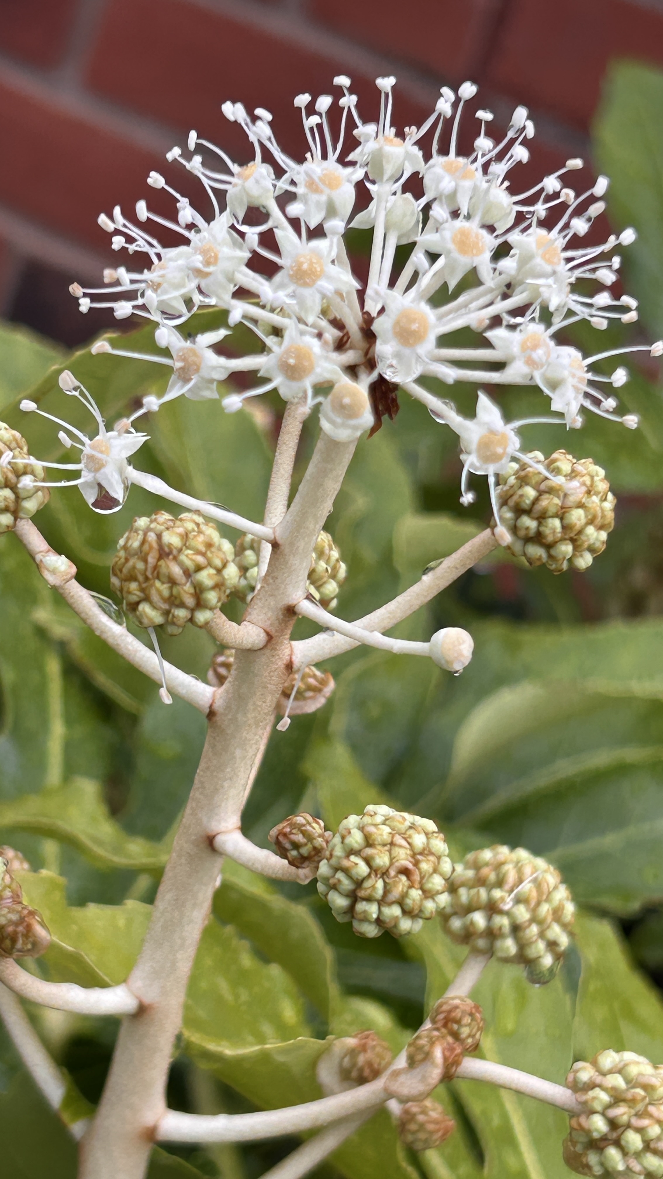 Message gallery image