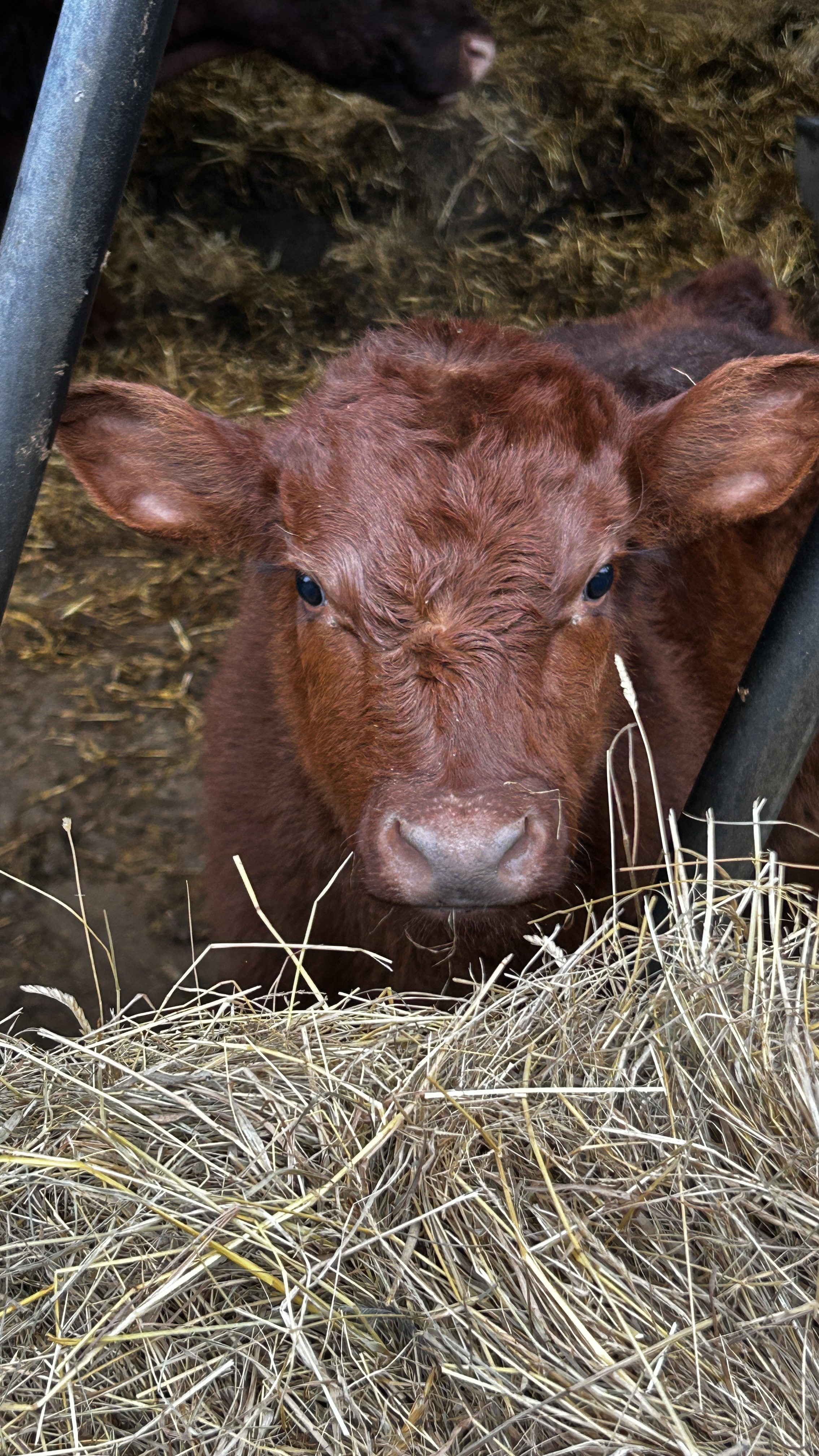 Message gallery image