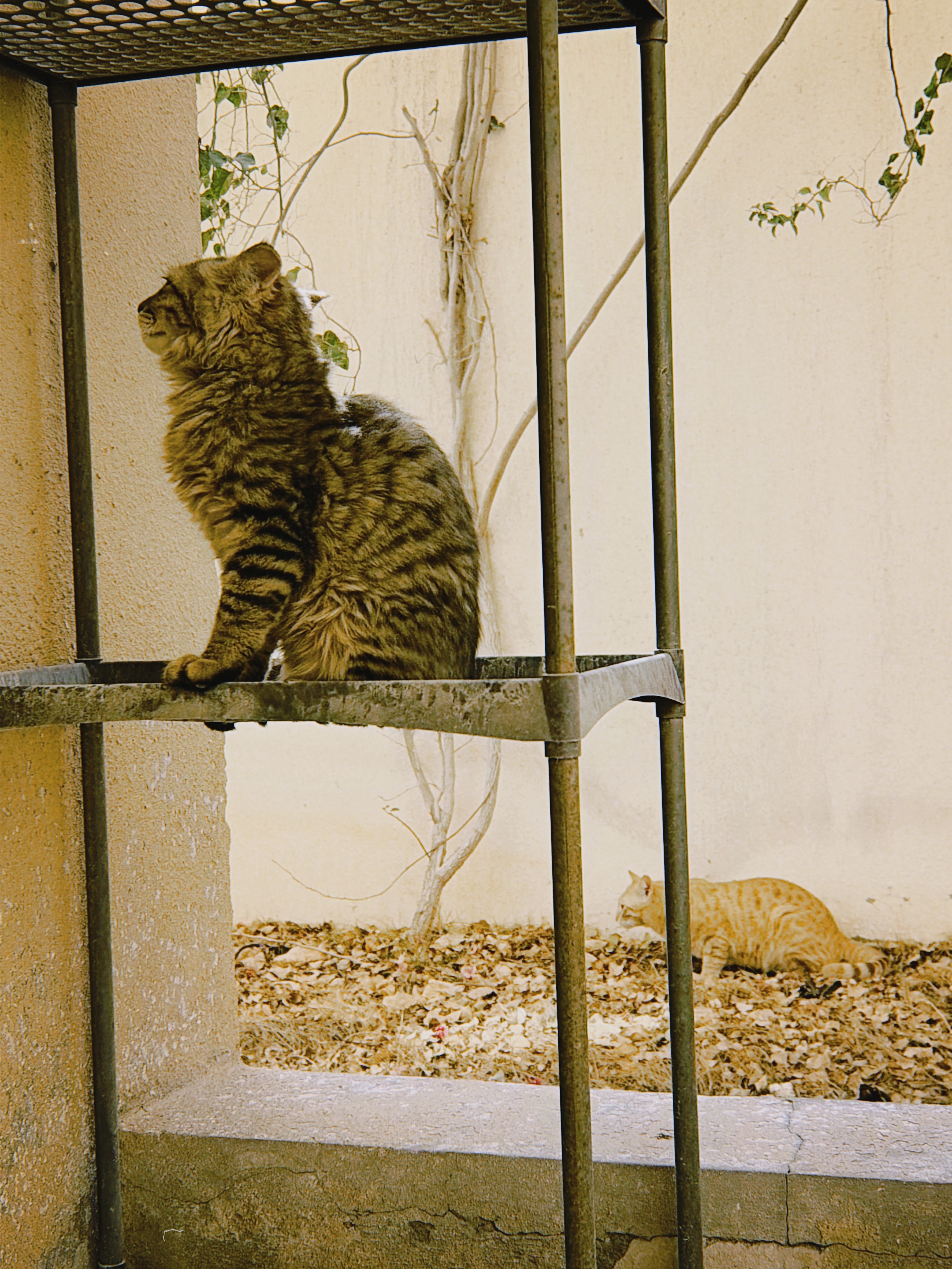 Message gallery image