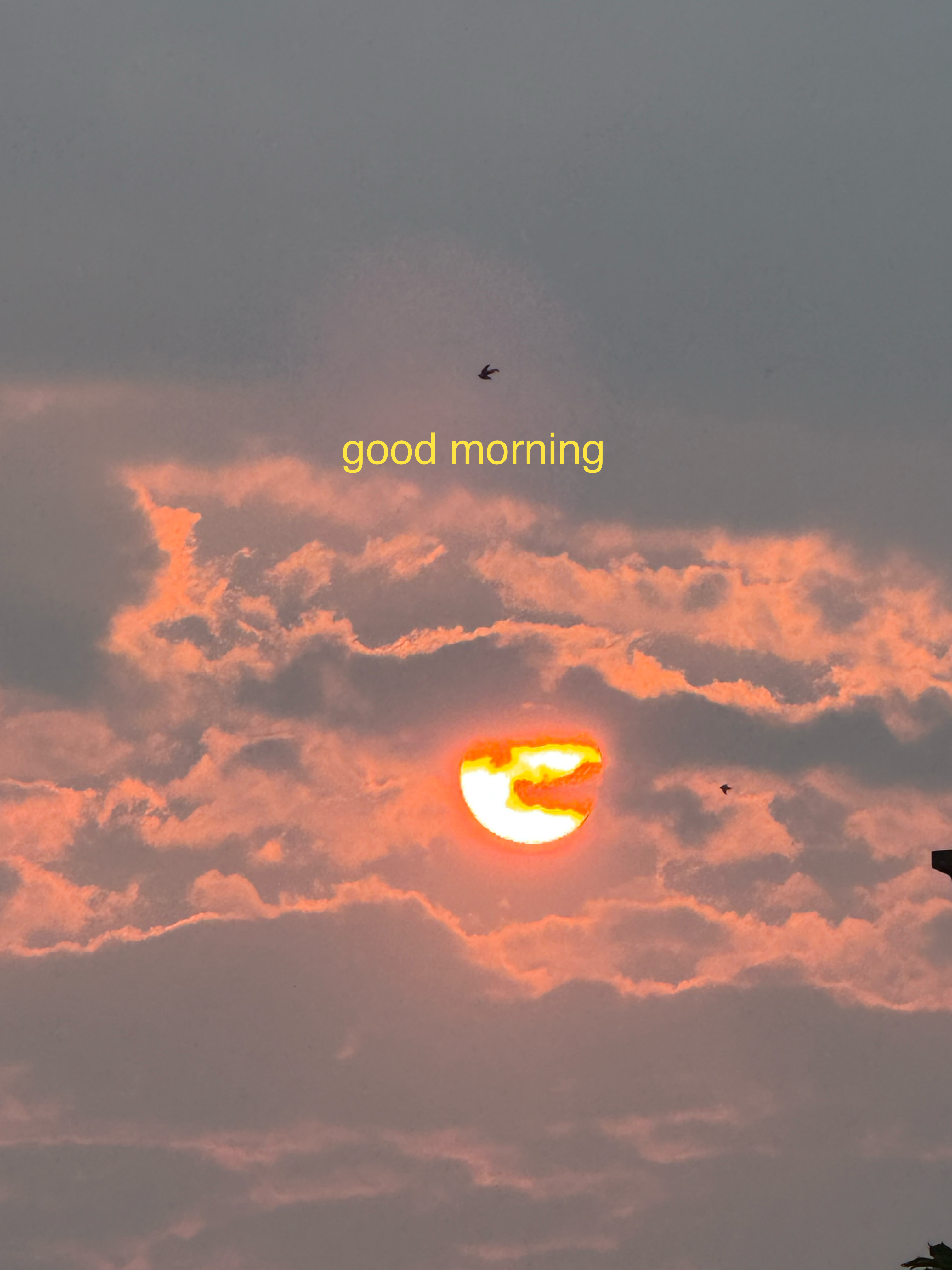 Message gallery image