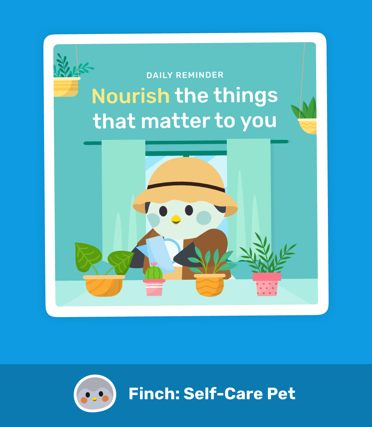 Message gallery image